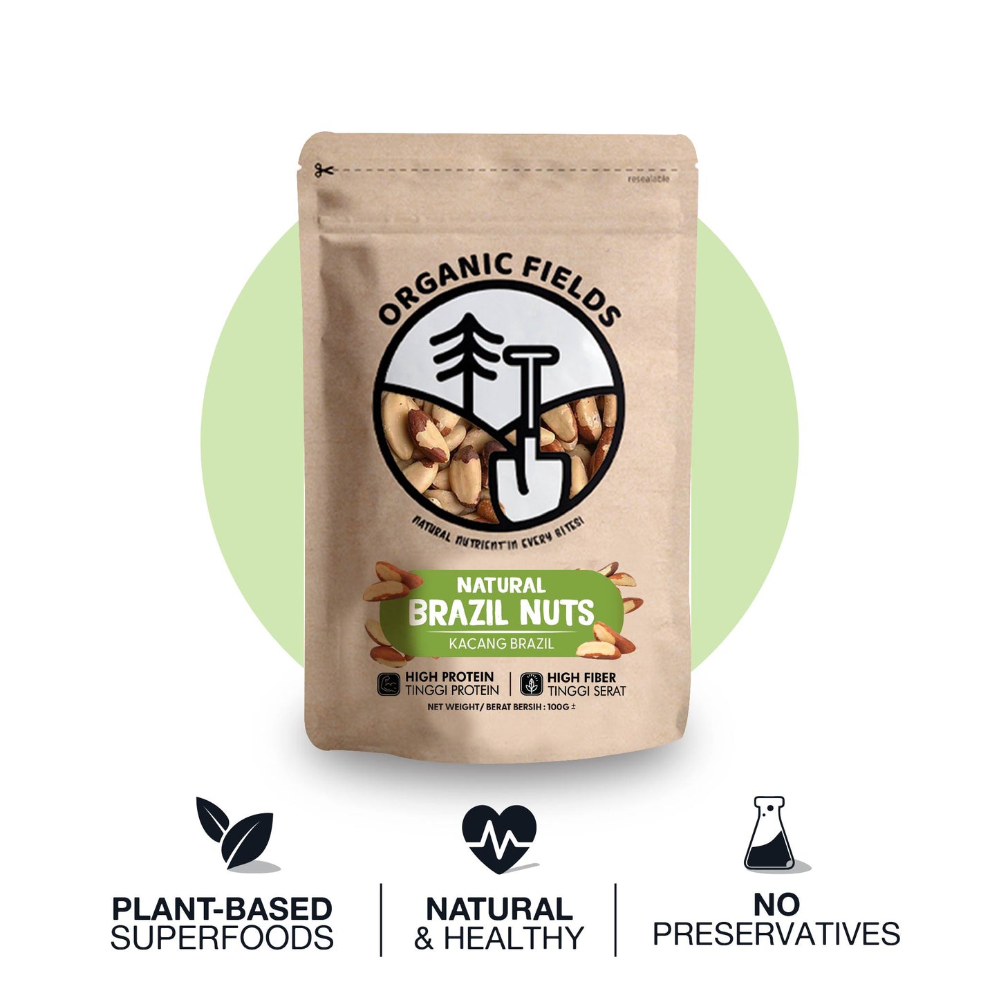 ORGANIC FIELDS Natural Brazil Nuts