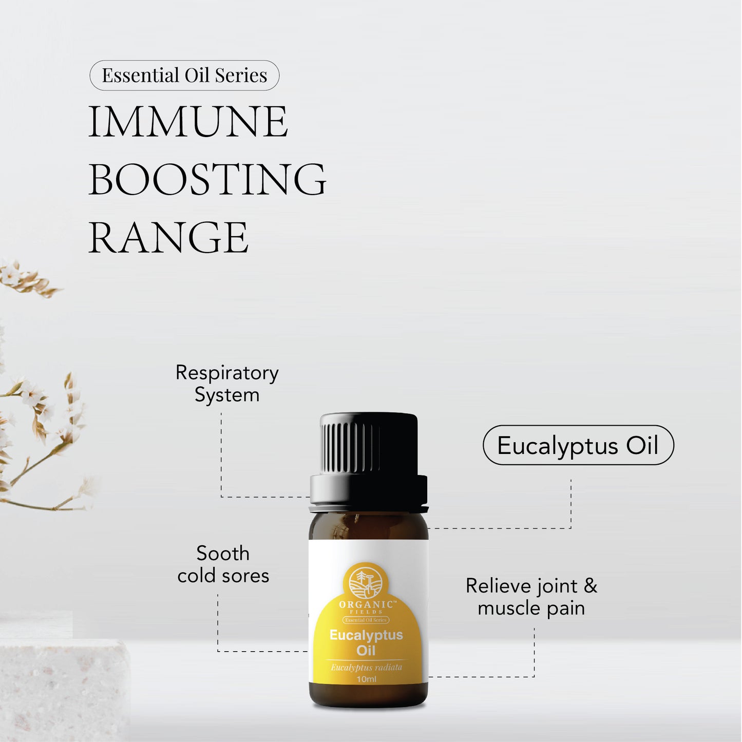 ORGANIC FIELDS Organic Eucalyptus Essential Oil 10ml