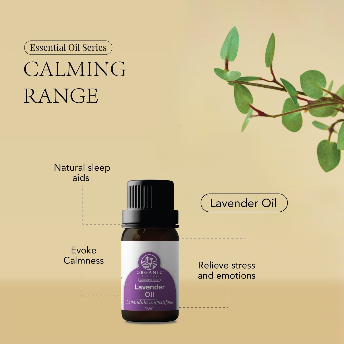 ORGANIC FIELDS Organic Lavender Essential Oil 10ml
