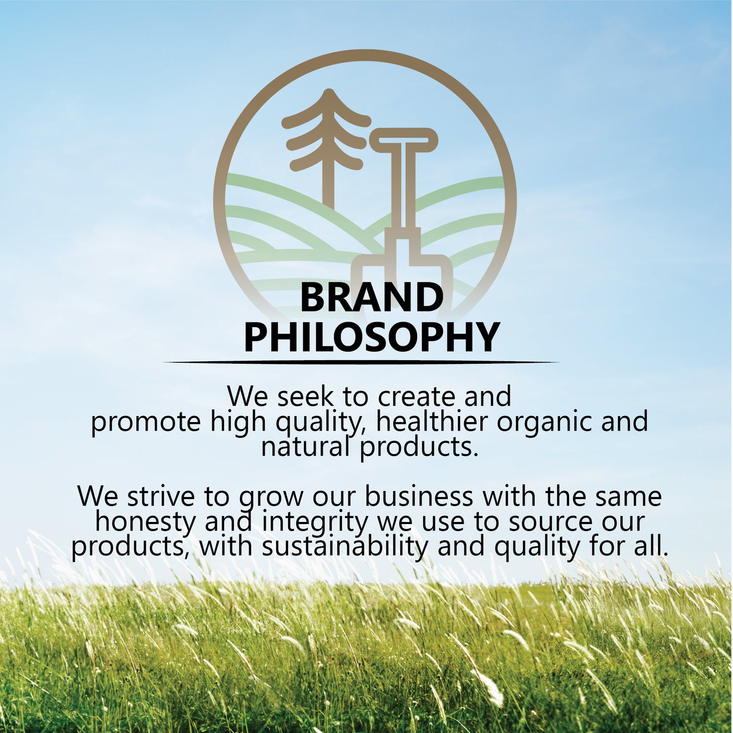 ORGANIC FIELDS Organic Moringa Leaf Powder