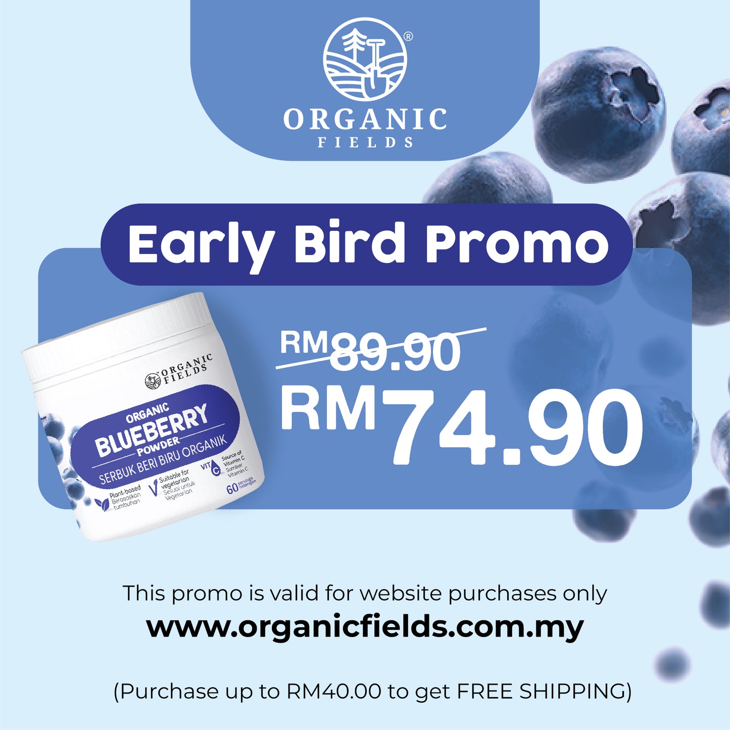 Organic Blueberry Powder 120gm