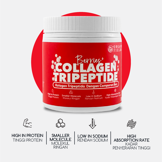 ORGANIC FIELDS Superfood Collagen Tripeptide 180g
