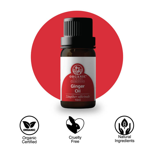 Organic Ginger Essential Oil 10ml