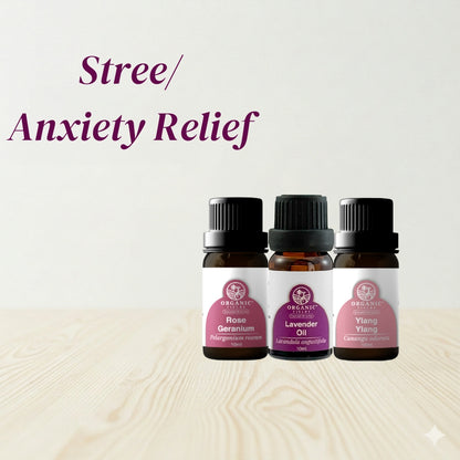 Essential Oil Bundle