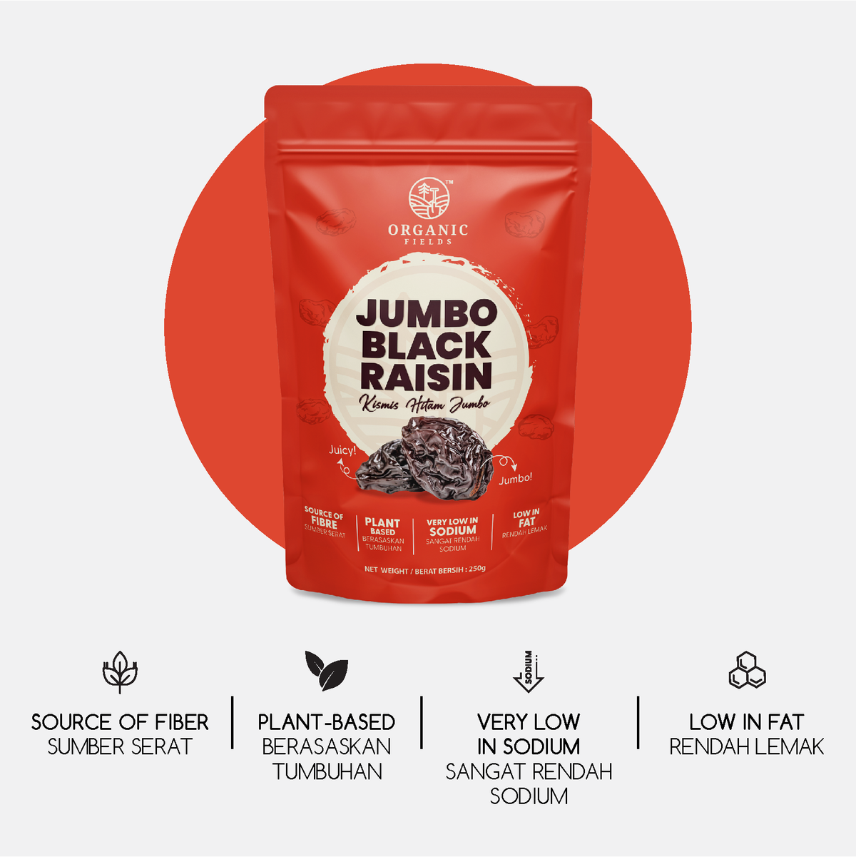 ORGANIC FIELDS Jumbo Black Raisin 250g (Sugar Bloom)
