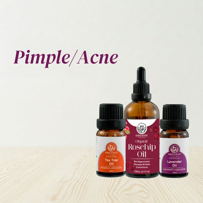 Essential Oil Bundle