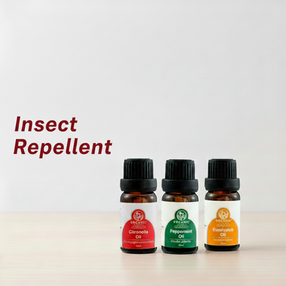 Essential Oil Bundle