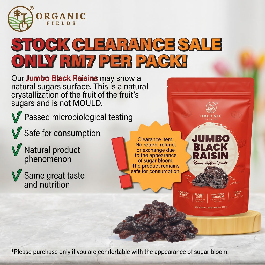 ORGANIC FIELDS Jumbo Black Raisin 250g (Sugar Bloom)