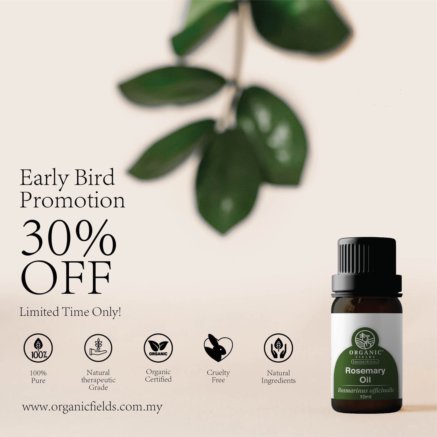 Organic Eucalyptus Essential Oil 10ml