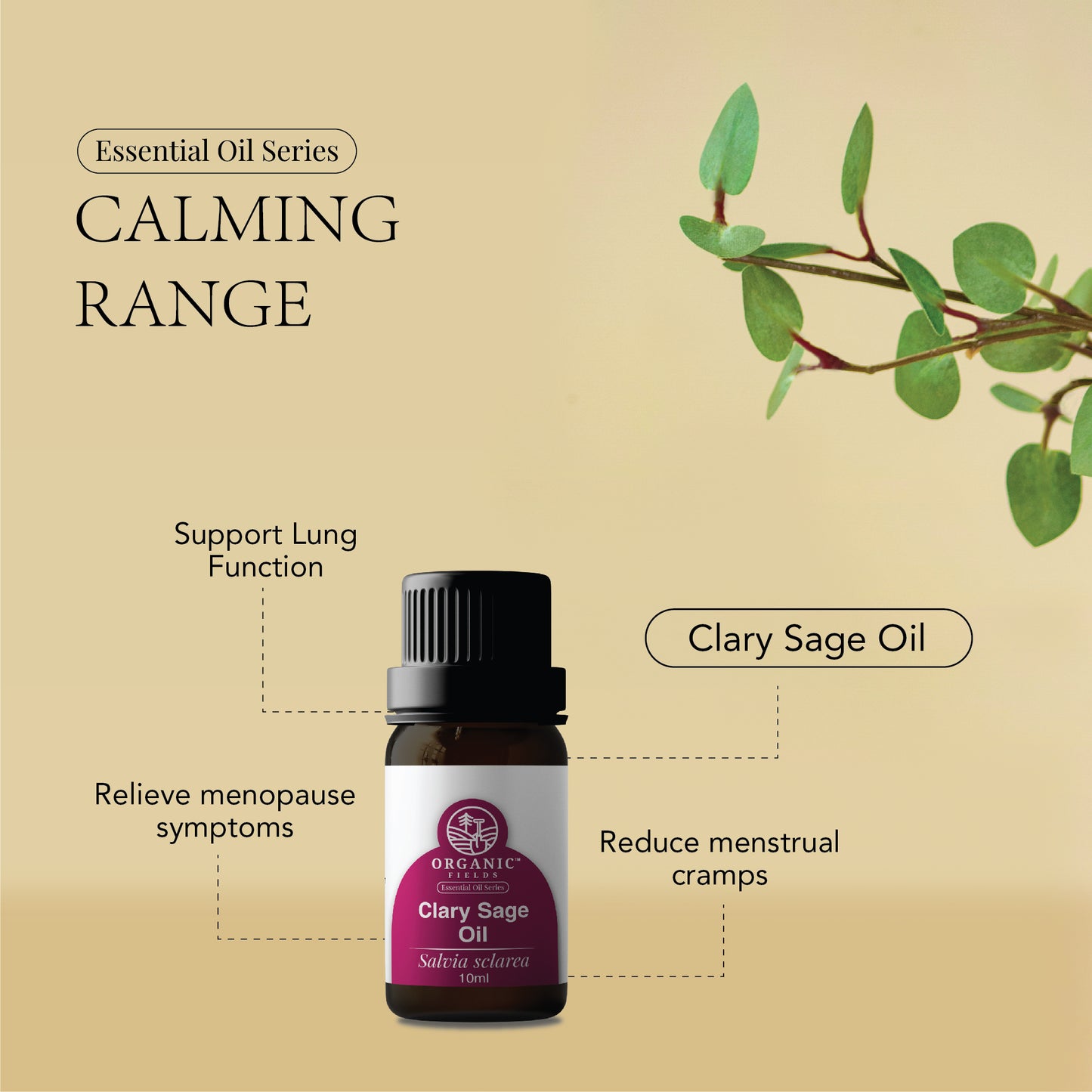 Organic Clary Sage Essential Oil 10ml