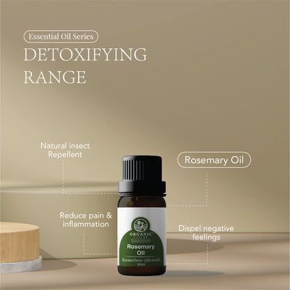 Organic Rosemary Essential Oil 10ml