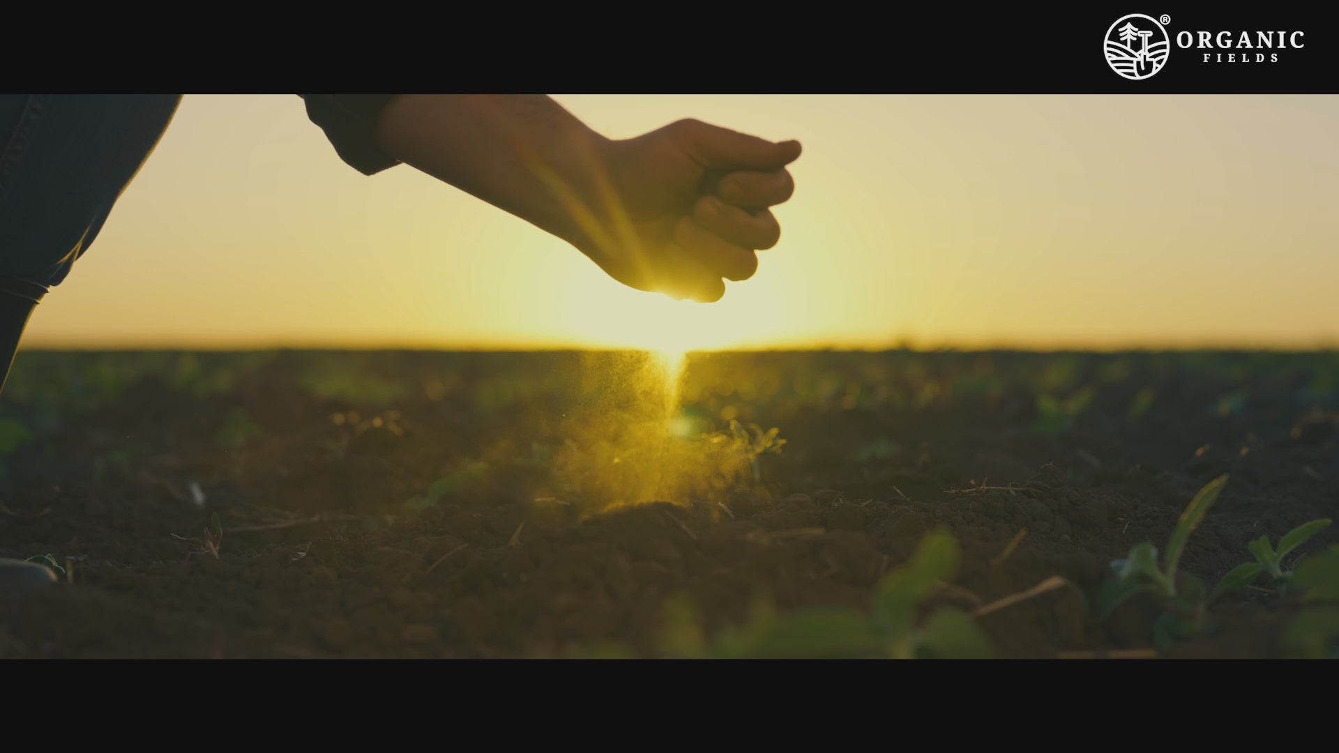 Load video: Organic Fields company video_2025.mp4__PID:3669c5a9-a99f-46a4-acb6-0dcc2d0f4448