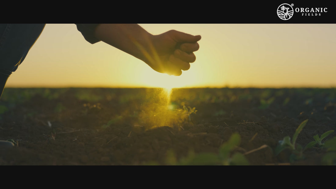 Organic Fields company video_2025.mp4__PID:3669c5a9-a99f-46a4-acb6-0dcc2d0f4448